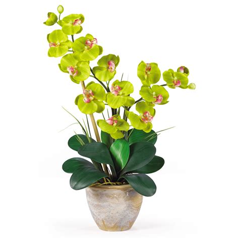 artificial 25 double stem phalaenopsis orchid flower arrangement in