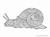 Mandala Snail Zentangle Gemischte Partie Heruntergeladen sketch template