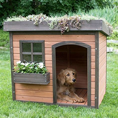 large dog house outdoor pet puppy shelter kennel green roof fir wood