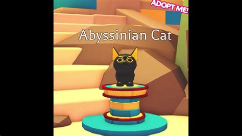 adopt  making neon abyssinian cat youtube