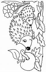 Hedgehogs Coloringpage sketch template
