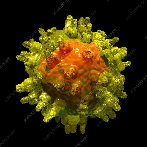 Adeno Associated Virus Stock Image M050 1080 Science Photo Library