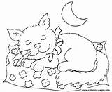 Sleeping Coloring Cat Pages Night Baby Mouse 491f Printable Color Print Getcolorings Beauty Cats Sheet Getdrawings Printab sketch template