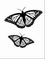 Butterfly Monarch Coloring Drawing Line Side Color Pages Drawings Getcolorings Bargain Printable Getdrawings Paintingvalley sketch template