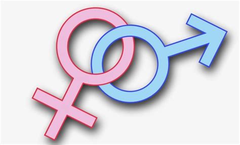 keys  unlocking  mystery  gender identity  human sexuality ascension press media