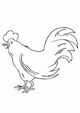 Huhn Bauernhof Dem Ausmalbild Ausmalen Hahn Schablone Grosse Ostern sketch template