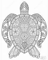 Turtle Elephant sketch template