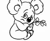 Koala Coloring Pages Baby Color Getcolorings Printable Print sketch template