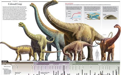 sauropods triumph   titans paleontology world