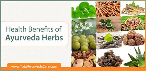 health benefits of ayurveda herbs total ayurveda care