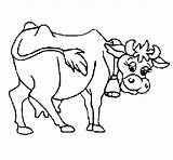 Vaca Lechera Dibujos Mucca Colorare Vache Cow Vacas Lecheras Coloring Granja Disegni Animais sketch template