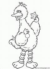 Coloring Pages Sesame Street Bird Big Printable Color Choose Board Bomb sketch template