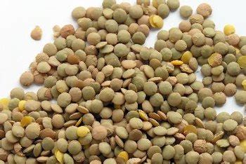 benefits  eating lentils healthy eating