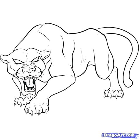 panther head drawing  getdrawings