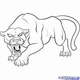 Panther Drawing Animal Coloring Pages Spiderman Kids Pantera Outline Drawings Print Head Dibujo Panthers Colouring Draw Easy Negra Printable Angry sketch template