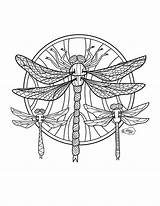 Coloring Adult Pages Dragonfly Dragonflies Adults Etsy Digital Stamp Sketch Flies Dragon sketch template