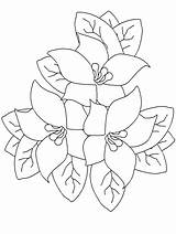 Rhododendron Pintura Tela Tecido Riscos Realistic Stampa sketch template