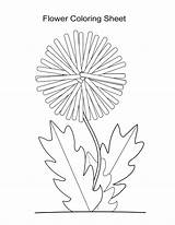 Dandelion Coloring Flower Pages Wish Sheets Silhouette Clip Printable Make Template Color Girls Boys Getdrawings Sheet Templates Print Printables Getcolorings sketch template