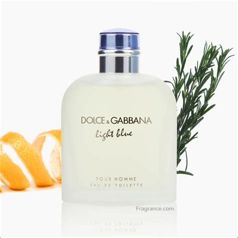 Dolce And Gabbana Light Blue Pour Homme Cologne Review Eau Talk The