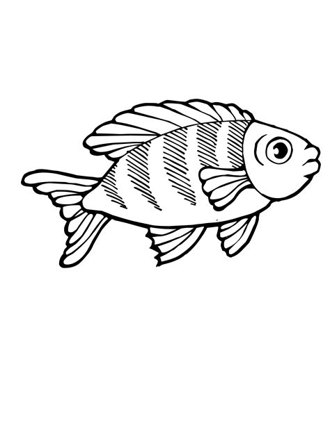 gambar rainbow fish template coloring page  printable pages