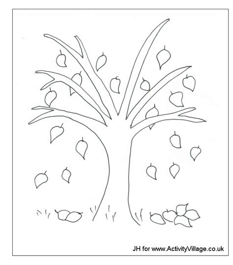 trees  leaves coloring pages coloring home