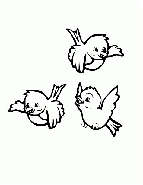 birds coloring pages coloring home
