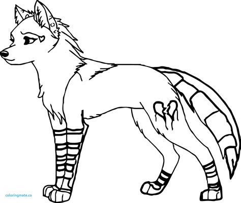 red wolf coloring pages  getdrawings