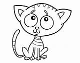 Triste Gatito Gato Dibujo Colorir Animales Gattino Gatos Desenhos Acolore Template Stampare sketch template