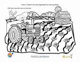 Coloring Tractor Sheet Printable Box Printables Farm Farmer Education Chef Rides Solus Right Sheets sketch template