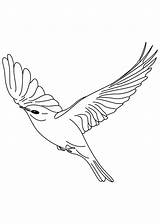 Coloring Pages Bird Canary Sky Birds Perched Tree Color Floating Popular sketch template
