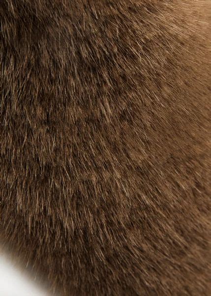 brown fur google search fur