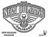 Pelicans Orleans Pelican Coloringbay Nbl Library sketch template