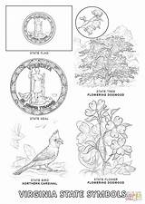 Virginia Coloring State Pages Symbols Printable Color Designlooter Bird Flag Flower 9kb 1020 1440px Choose Board sketch template