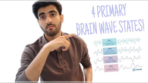 What Are The Functions Of 4 Primary Brain Wave States Youtube