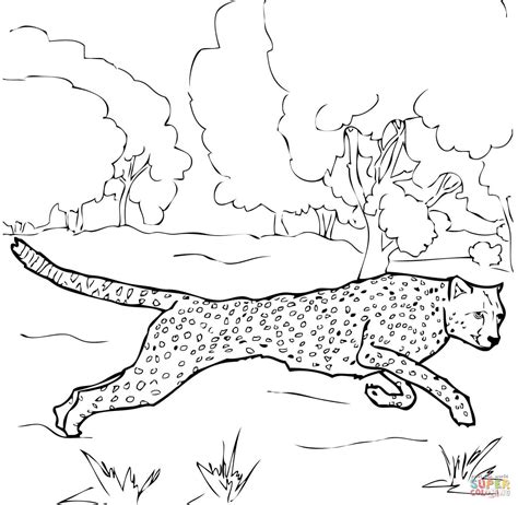 baby printable cheetah coloring pages meyasity