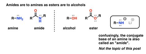 nomenclature amide