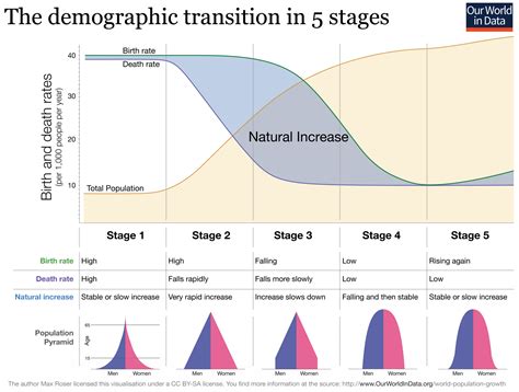 demographic transition model intelligent economist