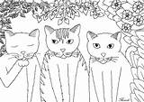Coloring Cats Funny Pages Cat Tree Simple Kittens Little Three Kids Adults Book Adult Easy Animals Cute Justcolor Choose Board sketch template