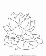 Lotus Coloring Flowers Flower Pages Color Sheet Kids Turtle Printable Dots Join Crafts Print sketch template