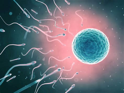 What You Need To Know About Sperm Test