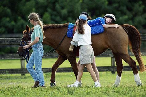 equine therapy working  therapists   horses