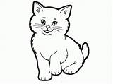 Cat Color Clipart Coloring Printable Pages Kids Drawing Cats Library sketch template
