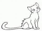 Starclan Archived Warriors sketch template