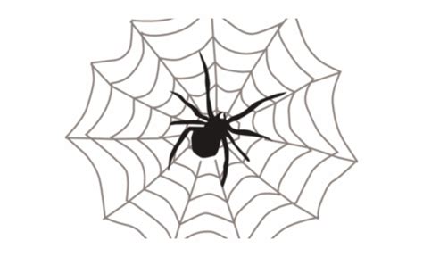 Free Spider Black And White Clipart Download Free Spider Black And