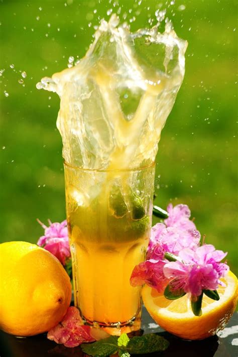 juice splash  tropical fruits stock photo image  diet blurry