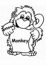 Coloring Monkey Pages Kids Animalscoloring sketch template