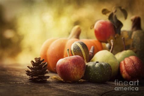 autumn fruit photograph by mythja photography