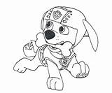 Coloring Paw Patrol Pages Printable Rubble Popular sketch template
