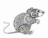 Zentangle Rat Animals Tangle Zentangles Mouse 2010 Quilt Inspiration Doodles Ganesha Animal Choose Board Picasa Albums Web March Picasaweb Google sketch template