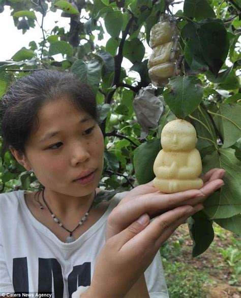 spiritual leader shaped fruits buddha shaped pears